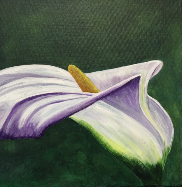 Calla Lily - SOLD